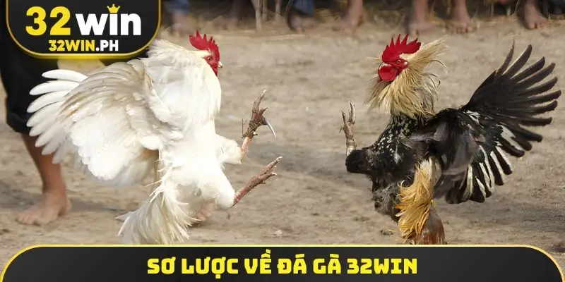 Sơ lược về đá gà 32win