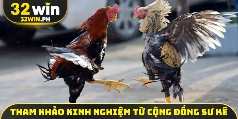 Đá Gà Trực Tiếp - Full HD 4K, Uy Tín Chất Lượng Cao 2026 Tham khảo kinh nghiệm từ cộng đồng sư kê